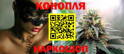 соль ск Будённовск