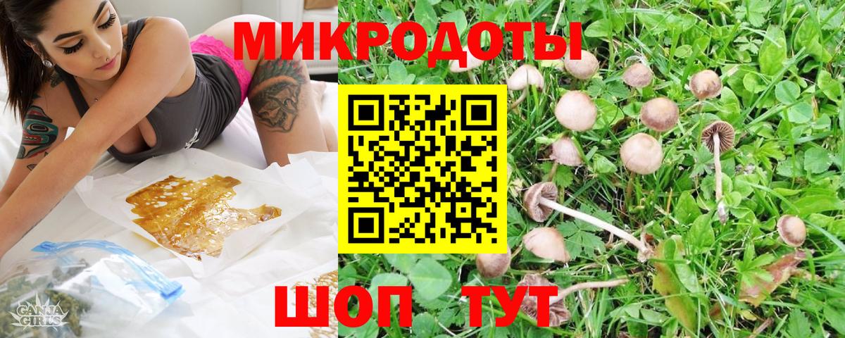 Псилоцибиновые грибы MAGIC MUSHROOMS  Вход с VPN  Канск  Псилоцибиновые грибы прущие грибы 