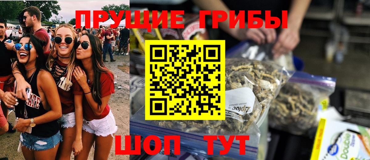 Псилоцибиновые грибы мицелий Канск